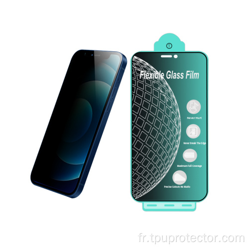 Protecteur d'écran 9H Glass Privacy pour iPhone 12Pro